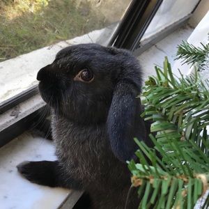 Meet your Posher, Courtney